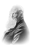 blaserna pietro