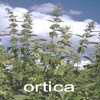 urtia
